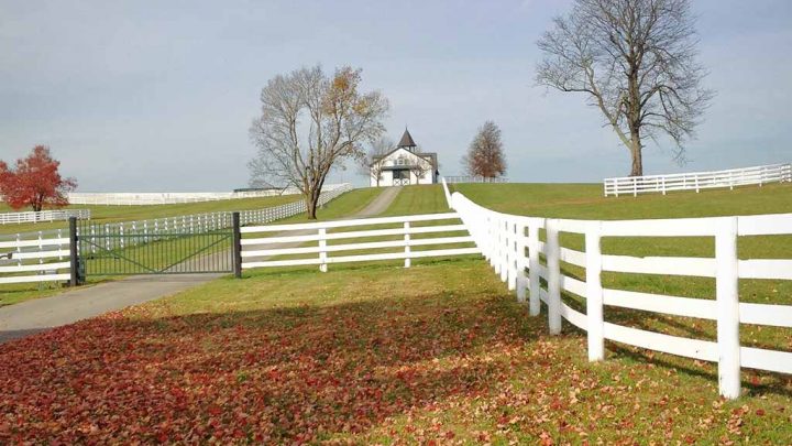 Things to Consider When Choosing Your Homesteading Property