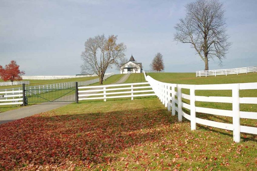 Things to Consider When Choosing Your Homesteading Property