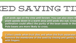 Seed Saving Tips (Infographic)