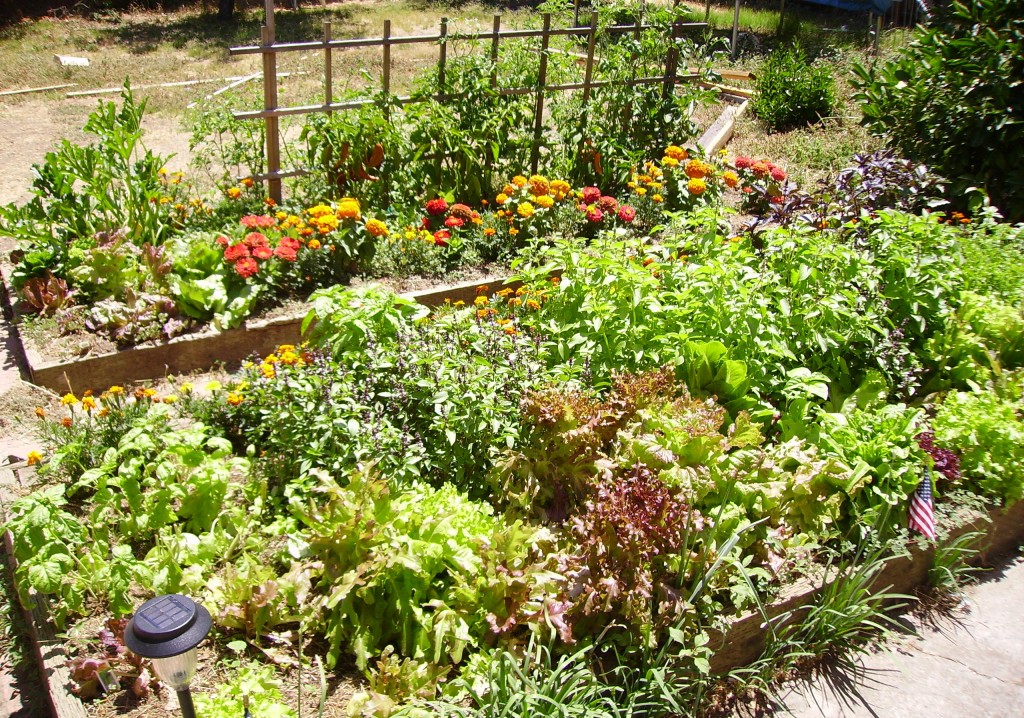 Tips for Gardening on a Slope   
