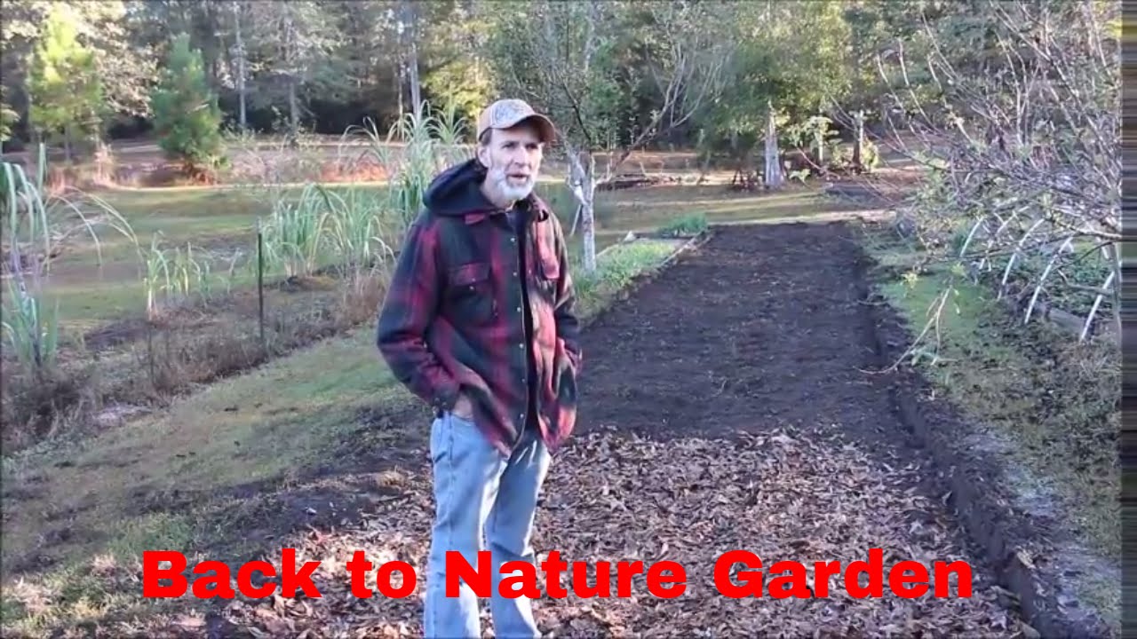 Back to Nature Garden (Video)