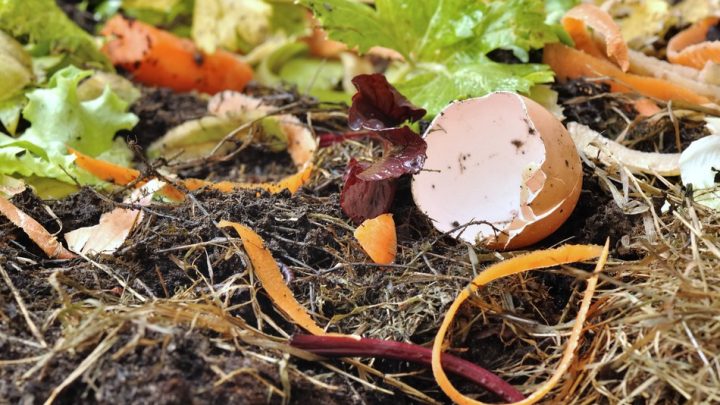 5 Things you Should NOT Compost   