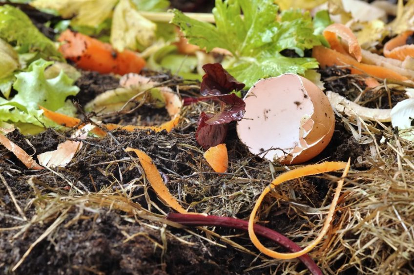 5 Things you Should NOT Compost   