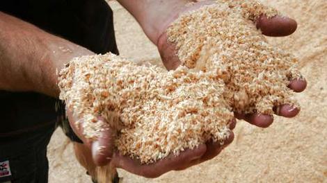 Ways to Recycle Sawdust