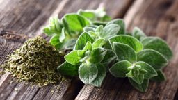 Herbs for Hens