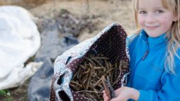 Homeschool on the Homestead