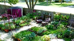 What Is Urban Homesteading?
