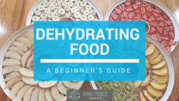 Dehydrating Food: A Beginner’s Guide