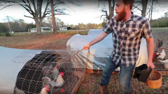 The $5 Chicken Tractor (Video)