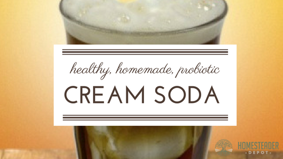 How to Make Probiotic Cream Soda