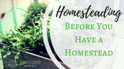 Homesteading Before Having a Homestead
