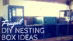 Frugal DIY Nesting Box Ideas