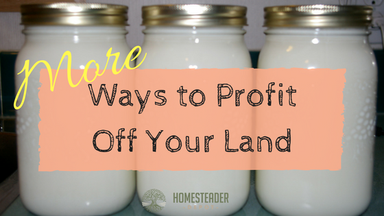 More Ways to Profit Off Your Land