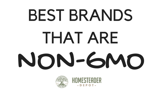 Best Brands That Are Non-GMO (Infographic)