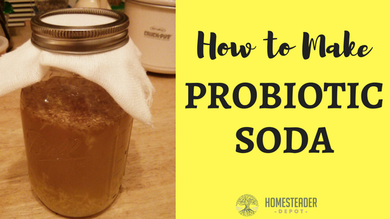 Fermented Probiotic Soda Recipe