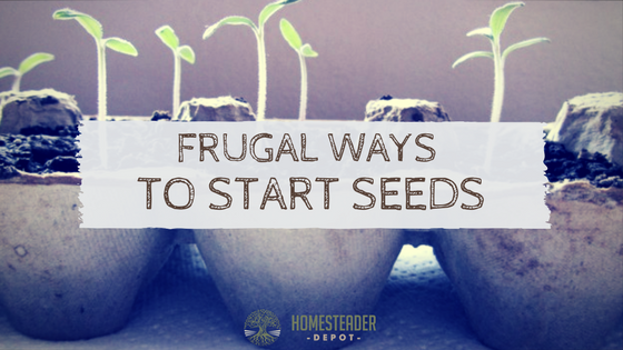 Frugal Ways to Start Seeds