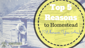 Top 5 Reasons