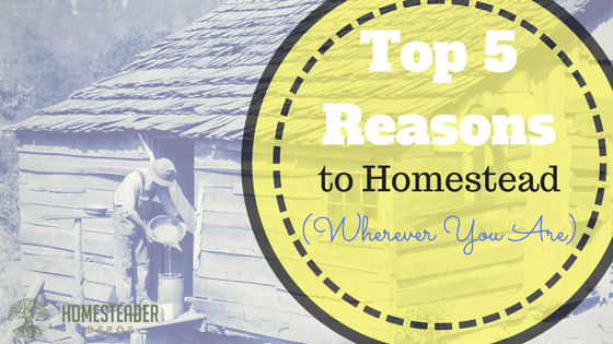 Top Five Reasons to Homestead (Wherever You Are)