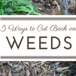 5 Ways to Cut Back on Weeds