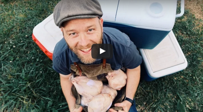 Butchering a Year’s Worth of Chickens (Video)