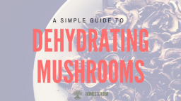 A Simple Guide to Dehydrating Mushrooms