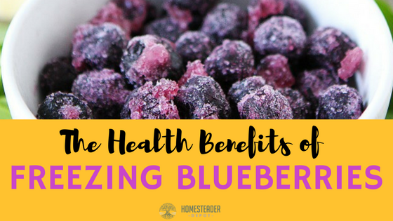 4 Health Benefits of Frozen Blueberries