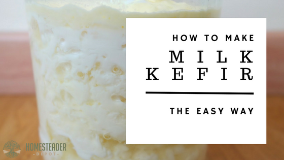 The Easy Way to Make Milk Kefir