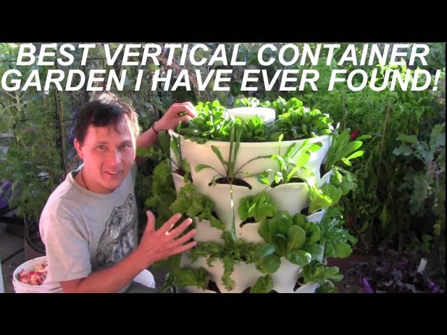 Grow 53 Plants in 4 Square Feet (Video)