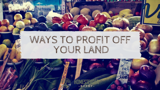 Ways to Profit Off Your Land