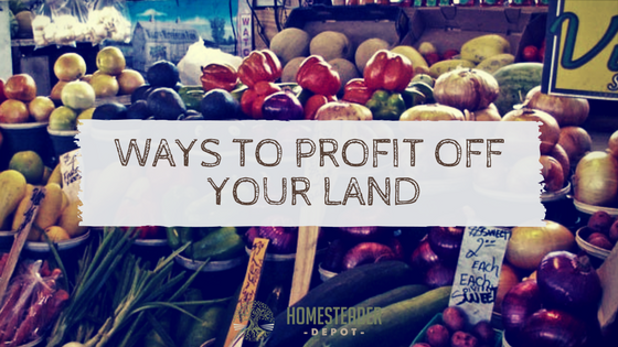 ways to make a profit off your land