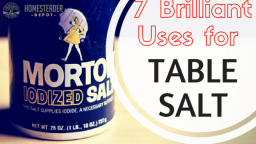 7 Brilliant Uses for Table Salt…Other Than Flavoring Food