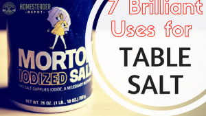 7 Brilliant Uses for