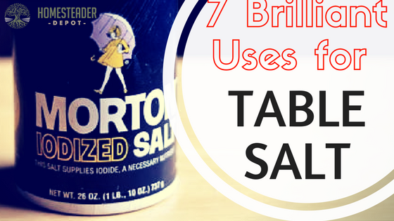 7 Brilliant Uses for Table Salt...Other Than Flavoring Food