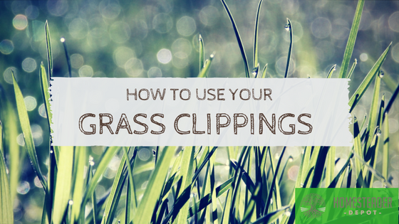 What Should You Do With Your Grass Clippings?