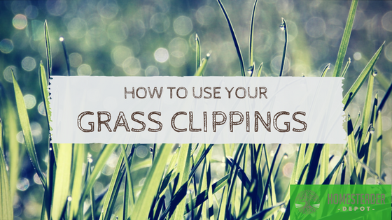 GRASS CLIPPINGS