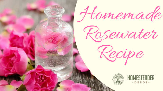 Homemade Rosewater Recipe