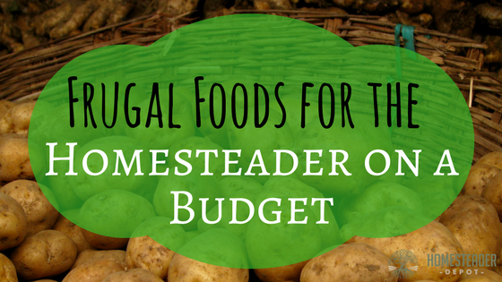 Dirt Cheap Foods for Homesteaders