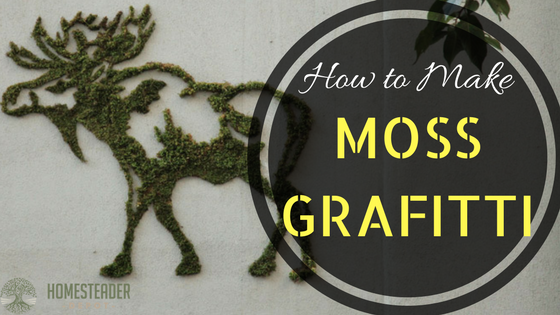 How to Make Moss Grafitti