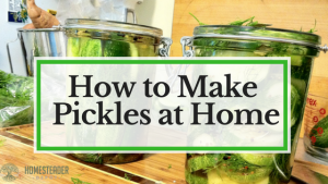 How to Make Your Own Kosher Pickles