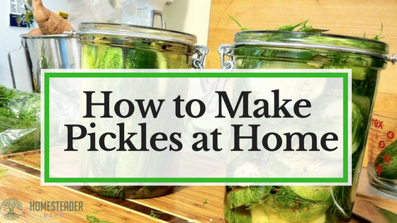 How to Make Pickles at Home