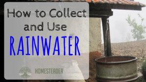 Hpow to Collect and Use
