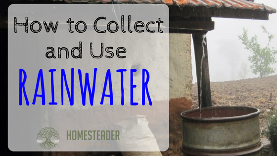 How to Catch and Use Rainwater