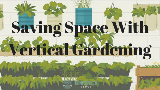 Saving Space With Vertical Gardening (Infographic)