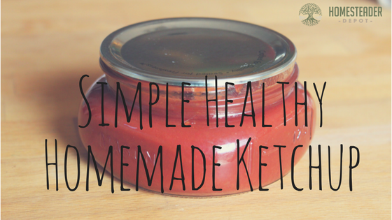 Simple Yet Healthy Homemade Ketchup
