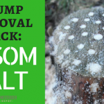 Stump Removal Hack: Epsom Salt