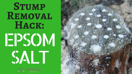 Stump Removal Hack: Epsom Salt