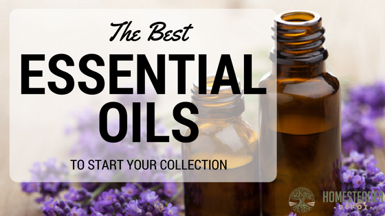 The Best Essential Oils to Start a Collection