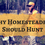 Why Should Homesteaders Hunt?