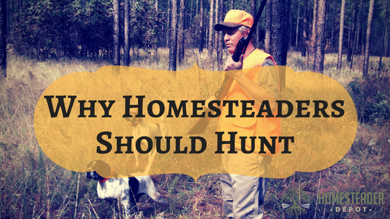Why Should Homesteaders Hunt?