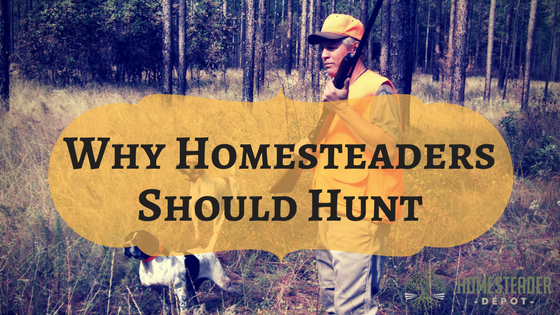 Why Homesteaders Should Hunt